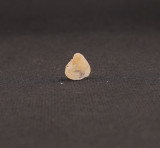 Fenacit nigerian cristal natural unicat f282, Stonemania Bijou
