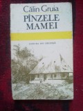 e1 CALIN GRUIA - PANZELE MAMEI
