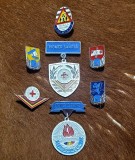 Lot 7 insigbe pionieri