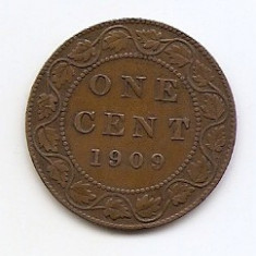 Canada 1 Cent 1909 - Edward VII, Bronz, 25.4 mm KM-8