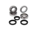 Set rulmenti ambielaj Gas Gas EC 200 05- 07, EC 250 300 03- 07