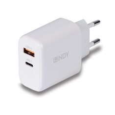 Incarcator Lindy USB Type-A &amp;amp; C 65W foto