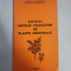 Ghidul micului culegator de plante medicinale
