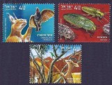 ISRAEL 2020 FAUNA ANIMALE PASARI INSECTE