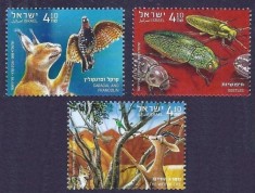 ISRAEL 2020 FAUNA ANIMALE PASARI INSECTE foto