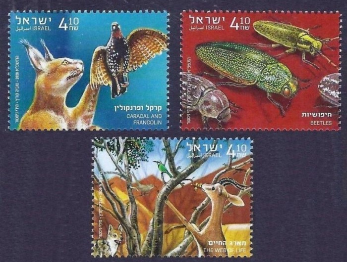 ISRAEL 2020 FAUNA ANIMALE PASARI INSECTE