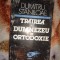 Trairea lui Dumnezeu in ortodoxie - Dumitru Staniloae ( Predare personala Bucuresti )