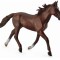 Armasar Standardbred Pacer Castaniu