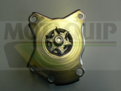 MOTAQUIP VWP851 Pompă de apă, răcire motor foto