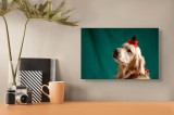 Tablou Canvas, "C&acirc;ine &icirc;mpodobit de sărbători de iarnă", Golden Retriever, Festive, Headband, Christmas, Green Background, 39 x 26 cm, CMCLASS