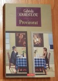 Provizorat de Gabriela Adamesteanu, Polirom
