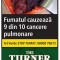 Tutun The Turner Virginia 30g (T&amp;T)