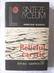 &amp;quot;RELIEFUL CARSTIC&amp;quot;, Marcian Bleahu, 1982 foto