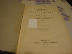 Zach C. Pantu - Plantele cunoscute de poporul roman - 1929