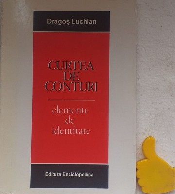 Curtea de conturi Elemente de identitate Dragos Luchian foto