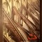 Connaissance des arts 256 - juin 1973: Les cathedrales au supplice