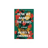 How We Named the Stars