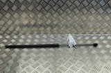 Amortizor capota st&acirc;nga față FORD PUMA J2K, CF7 2024 OEM: L1TB-S406A10-AC | 31987774