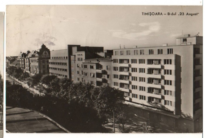 CPIB 18193 CARTE POSTALA - TIMISOARA. B-dul "23 AUGUST, RPR