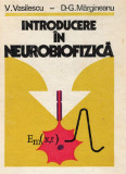Introducere in neurobiofizica (V. Vasilescu, D. Margineanu)