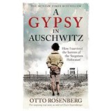 Gypsy in Auschwitz