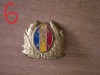 QW14 - Emblema militara / cuc - uscat - anii 1990 - piesa de colectie