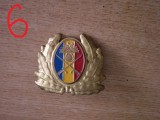 QW14 - Emblema militara / cuc - uscat - anii 1990 - piesa de colectie
