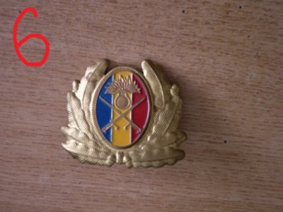 QW14 - Emblema militara / cuc - uscat - anii 1990 - piesa de colectie foto
