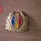 QW14 - Emblema militara / cuc - uscat - anii 1990 - piesa de colectie