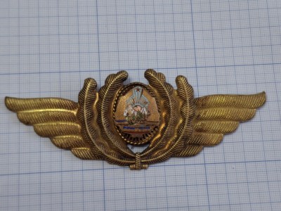 insigna militara de coifura aviatie, ofiter pilot. foto