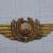 insigna militara de coifura aviatie, ofiter pilot.