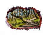 Cumpara ieftin Autocolant decorativ, Gaura in perete, Multicolor, 85 cm, 612STC-1, animale si pasari, Oem