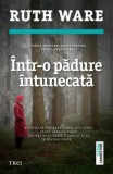 &Icirc;ntr-o pădure &icirc;ntunecată