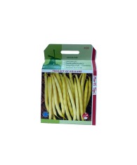 Seminte Fasole Pitica Galbena Gondola 100 g.