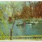 CPIB 18219 CARTE POSTALA - BUCURESTI. VEDERE DIN GRADINA CISMIGIU, RPR