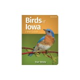 Birds of Iowa Field Guide