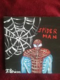 TABLOU PE PANZA CU SASIU NOU 20X20 CM SPIDER MAN PRET DOAR 20 LEI