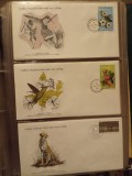 FAUNA WWF - 3 PLICURI PRIMA ZI