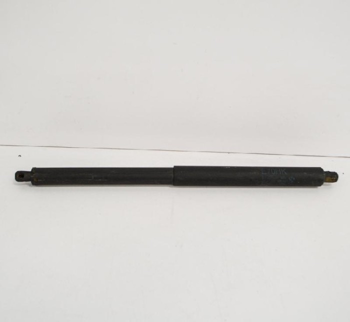 Amortizor haion st&acirc;nga BMW X5 E70 2008 OEM: 7177283 1520673