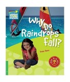 Why Do Raindrops Fall? Factbook Level 3 Paperback Peter Rees Carti in engleza