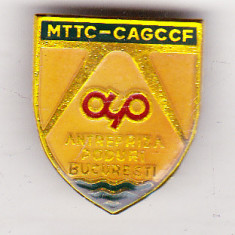 bnk ins Insigna MTTC-CAGCCF - Antrepriza poduri Bucuresti