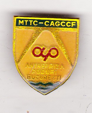 bnk ins Insigna MTTC-CAGCCF - Antrepriza poduri Bucuresti foto