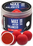 Haldorado - Boilies-uri Max Motion Boilie Balanced 20mm, 70g - Big Fish (fragute)