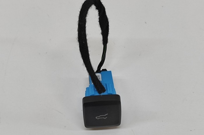 Comutator deschidere haion FORD KUGA III DFK 2024 OEM: JL1T-19B514-ABW 31201806