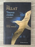 Dinu Pillat, Tinerețe ciudată și alte scrieri