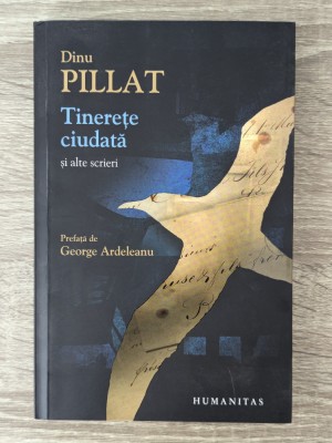 Dinu Pillat, Tinerețe ciudată și alte scrieri foto
