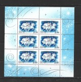 Rusia 2001 - Anul Nou, minicoala neuzata