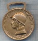 AX 64MEDALIA-RAZBOI PENTRU UNITATEA ITALIEI1915-1918-GUERRA PER L&#039;UNITA D&#039;ITALIA, Europa