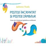 Pestele incruntat si pestele zambitor. Cum sa-ti intaresti gandirea rezilienta/Juliette Ttofa