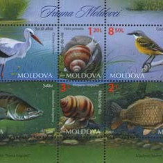 MOLDOVA 2014, Fauna, serie neuzată, MNH